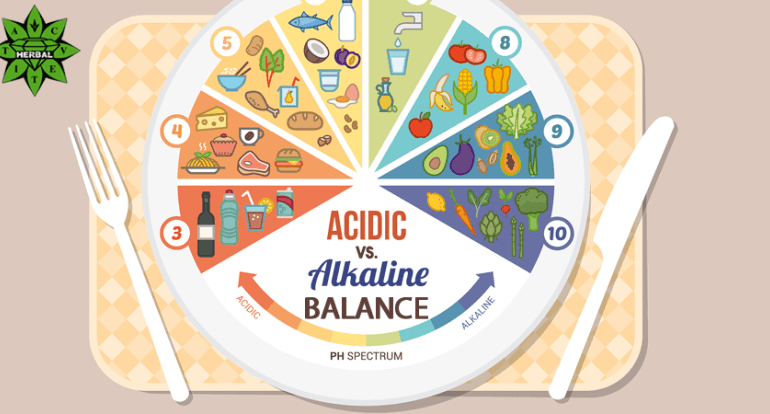 ACID-ALKALINE BALANCE-kangenwater.tech